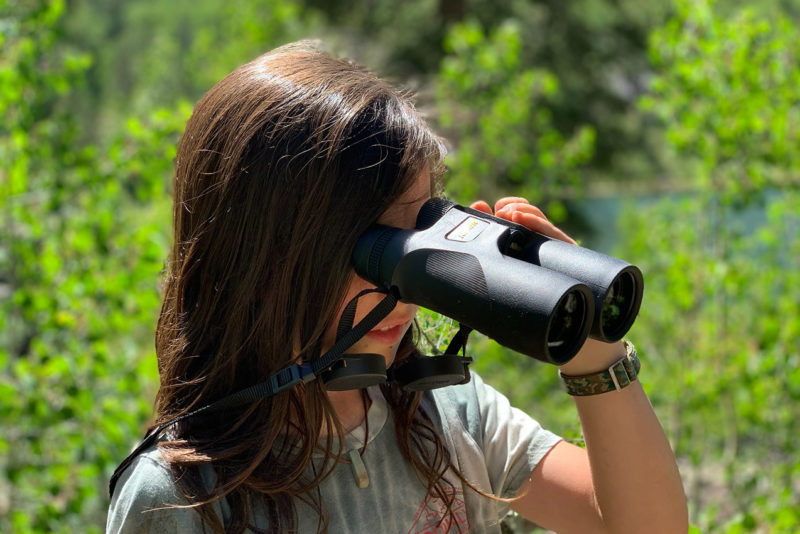 Nikon 16003 10x42 ProStaff 7S Binoculars