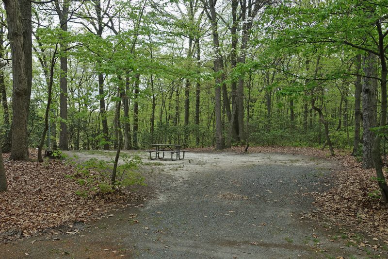 Cheesequake State Park New Jersey State Park