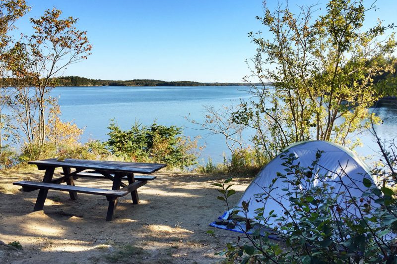 cobscook-bay-state-park