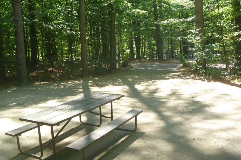 Half Moon Pond State Park Vermont State Park