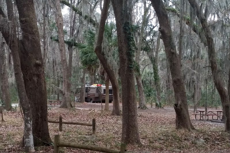 Skidaway Island State Park Georgia State Park