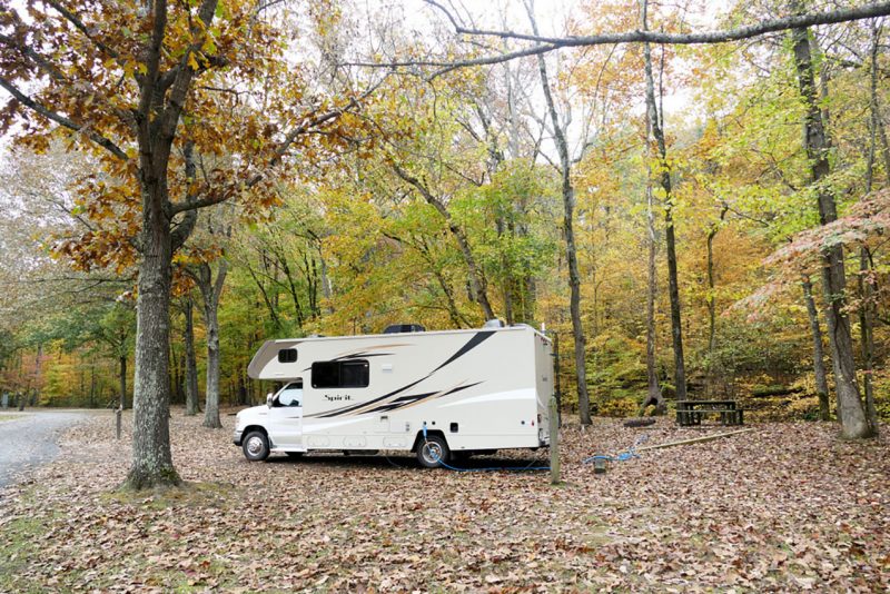 Village Creek State Park Arkansas State Park