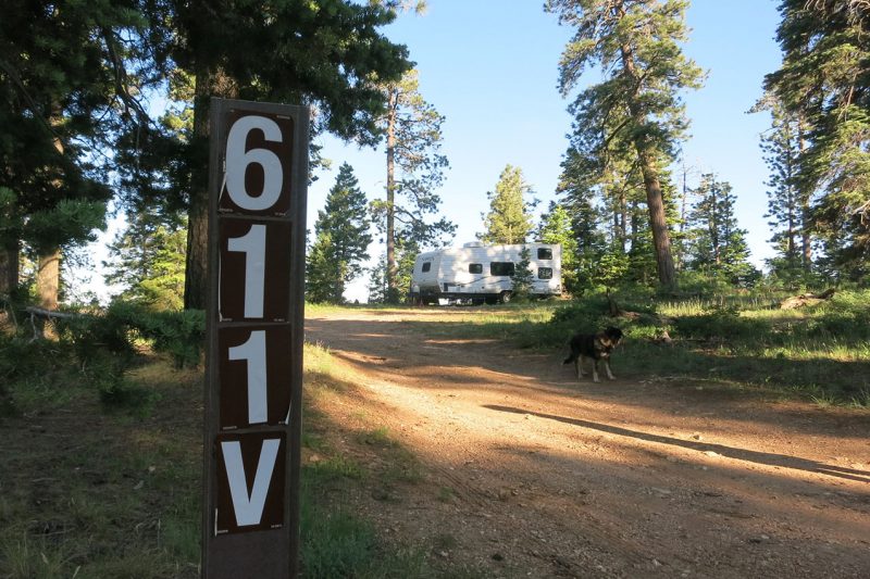 designated dispersed camping