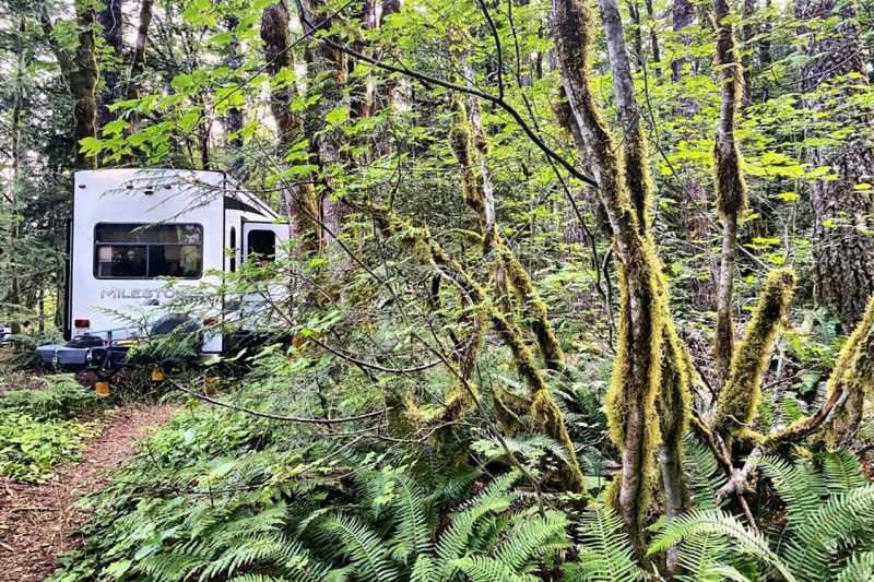 Goodell Creek Campground North Cascades National Park