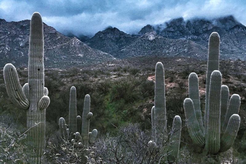 Best Tucson RV Parks