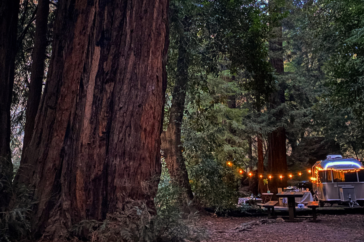 Big Sur Campground & Cabins
