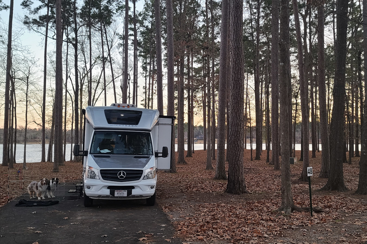 Cypress Black Bayou Recreation Area