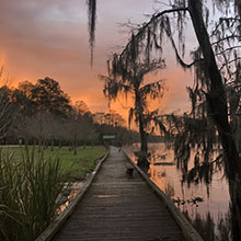 Best Camping in Louisiana