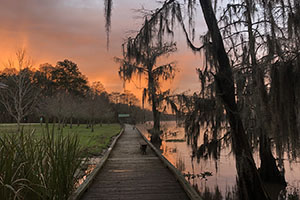 best camping in louisiana