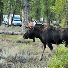 Best National Park Campground 2020