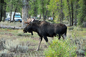 best national park camping 2020
