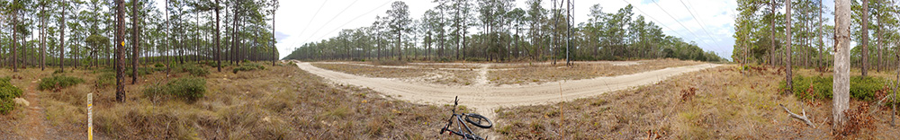 a bike trail in Florida