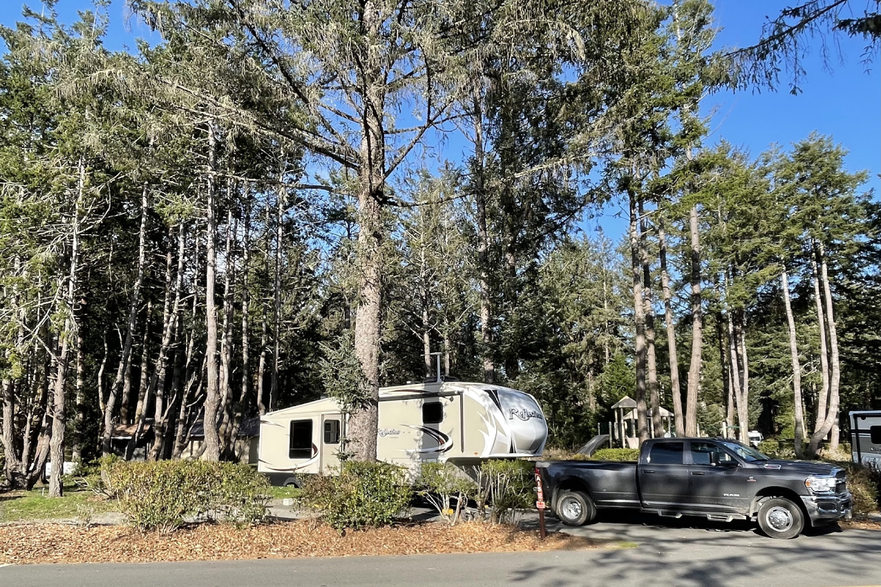 Harris Beach State Park