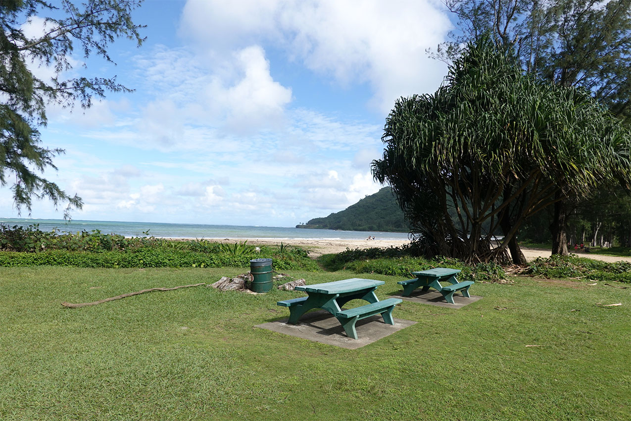 Two picnic tables at a state park campground in Hawaii