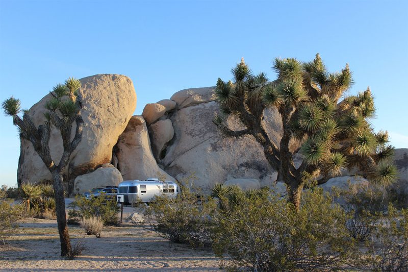 Airstream camping next to Joshua Trees