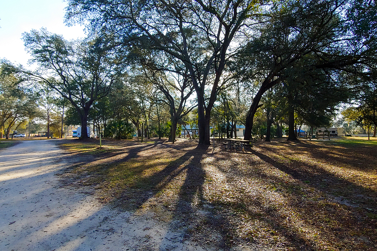 Large field with trees and picnic tables.