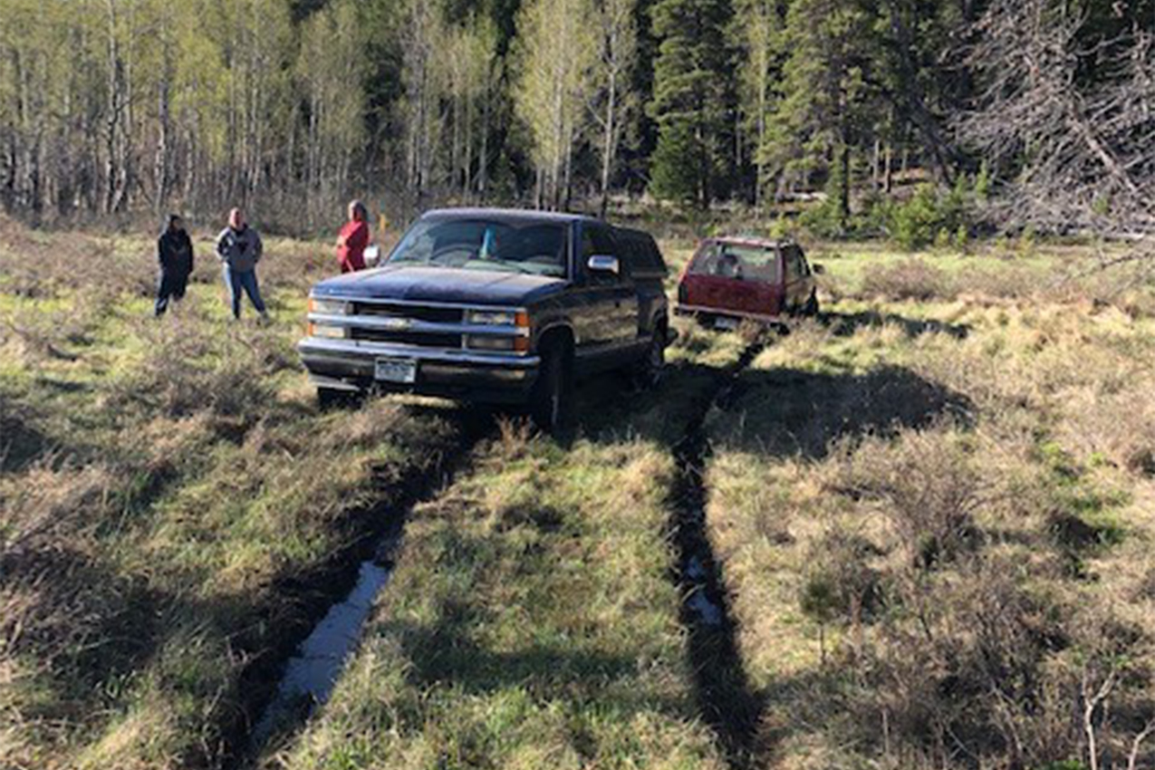 Two vehicles stuff in a marshy area in the forest.