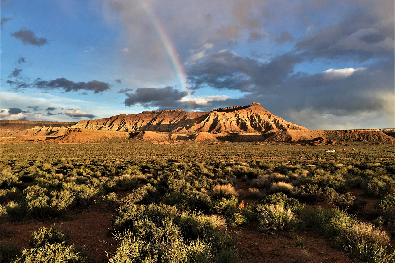 Field of sagebrush with mesa and rainbow in the background.