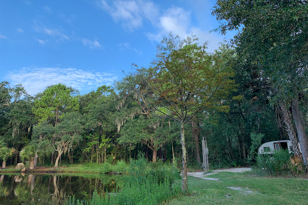 RV tucked beneath trees next to a lake