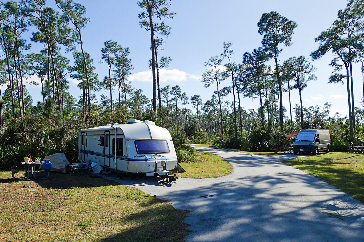 Two RVs parked in the forest