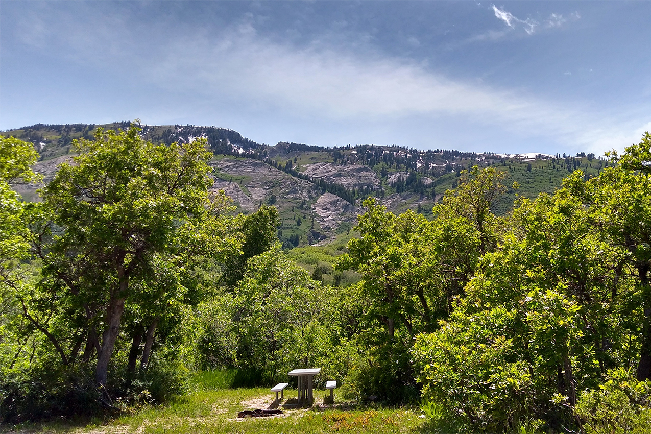 Picnic table in the woods with mountains in the background.