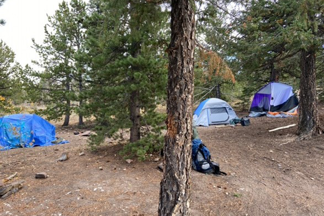 Several tents in the national forest.