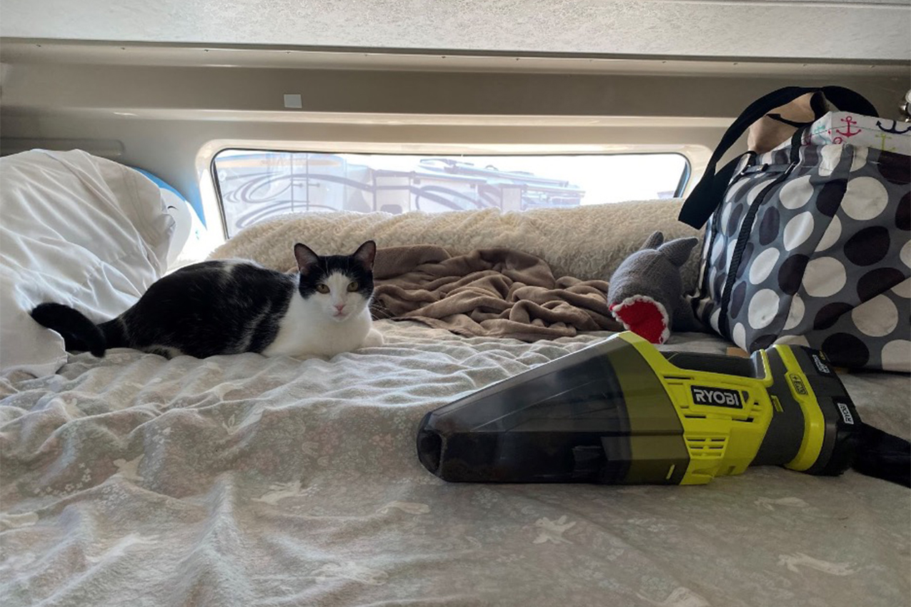 Cat on a bed with a vacuum cleaner.