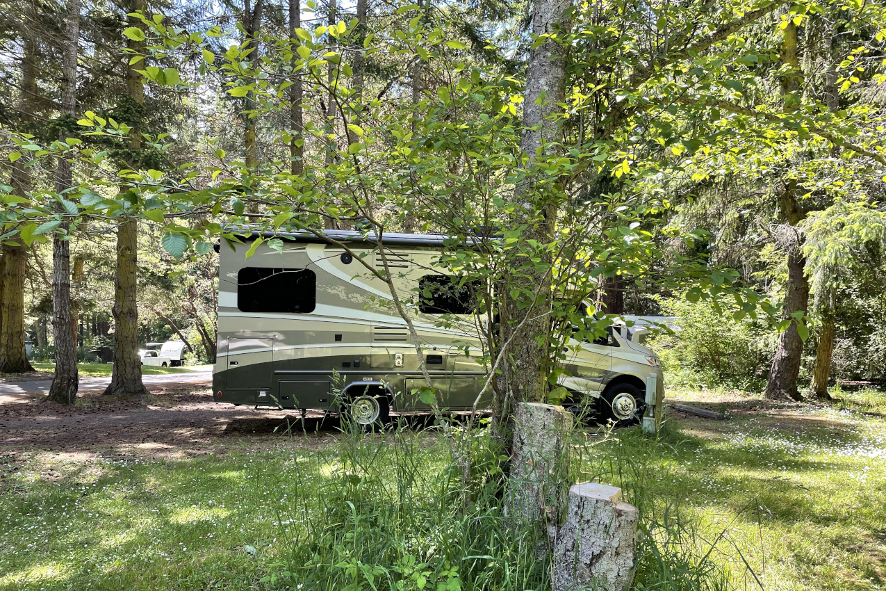 Upper Forest Campground