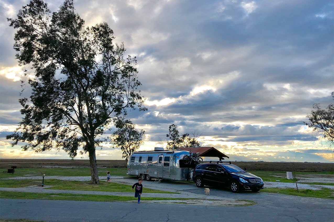 RV parked under tall tree.