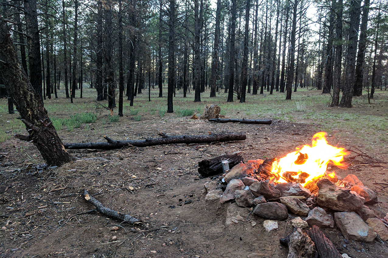 Campfire
