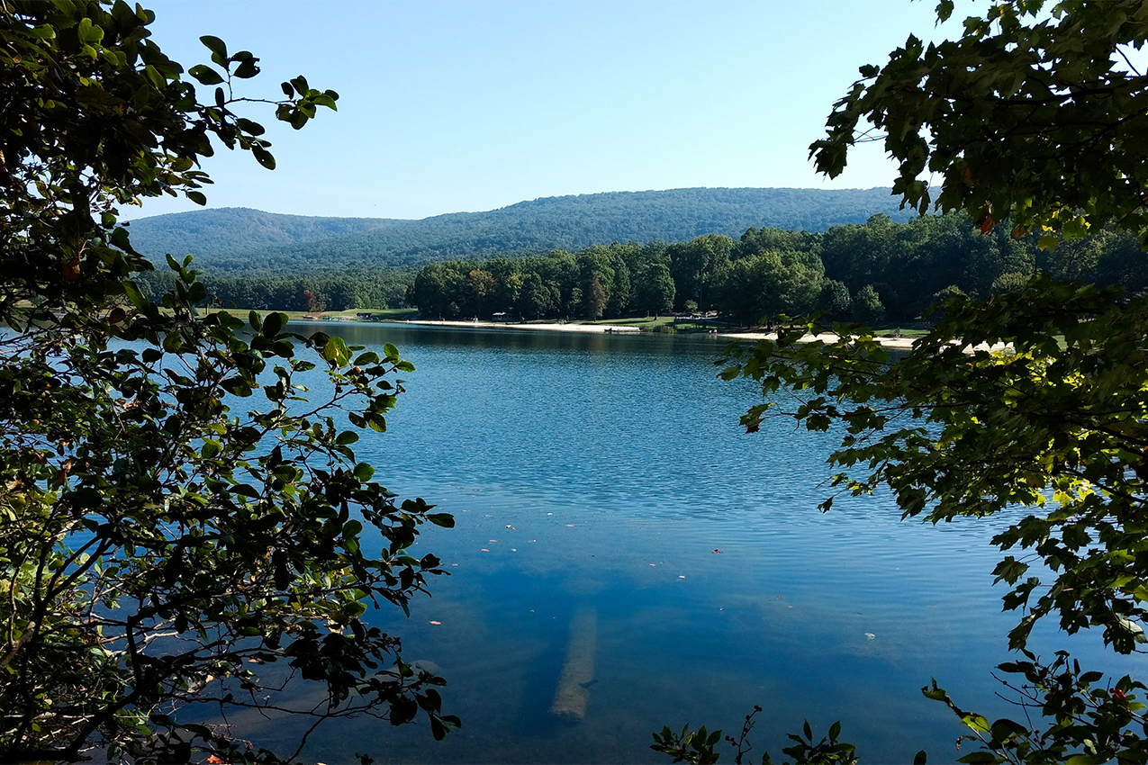 Blue lake surrounded by trees.