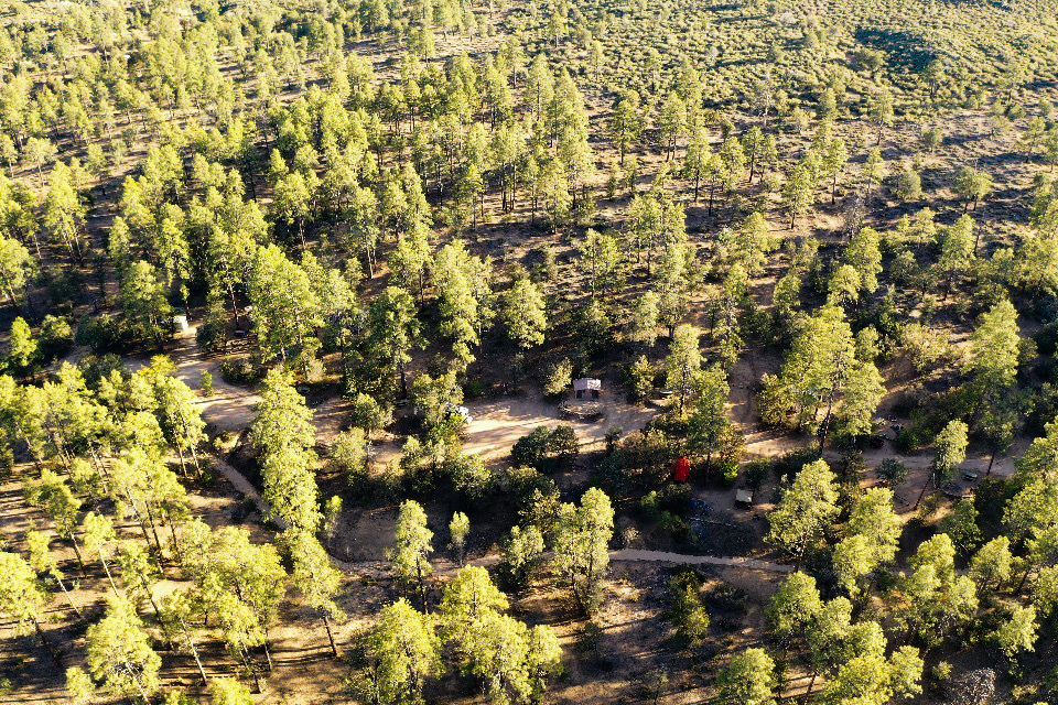 Camping spot in the middle of the forest.