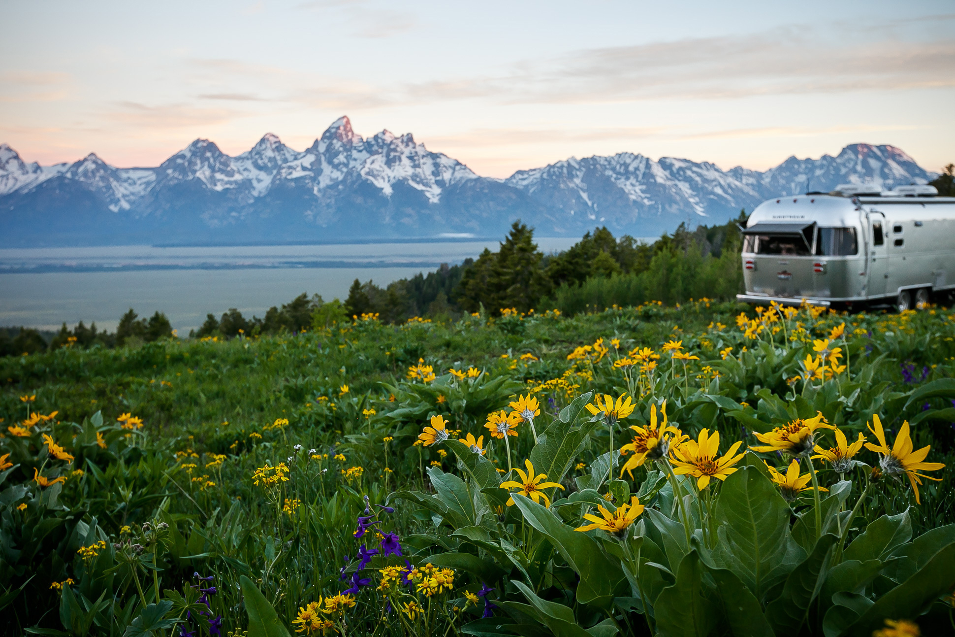 RV parked in a field of wildflowers.