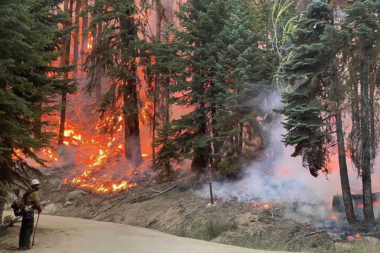 Firefighters standing in front of a large forest fire.