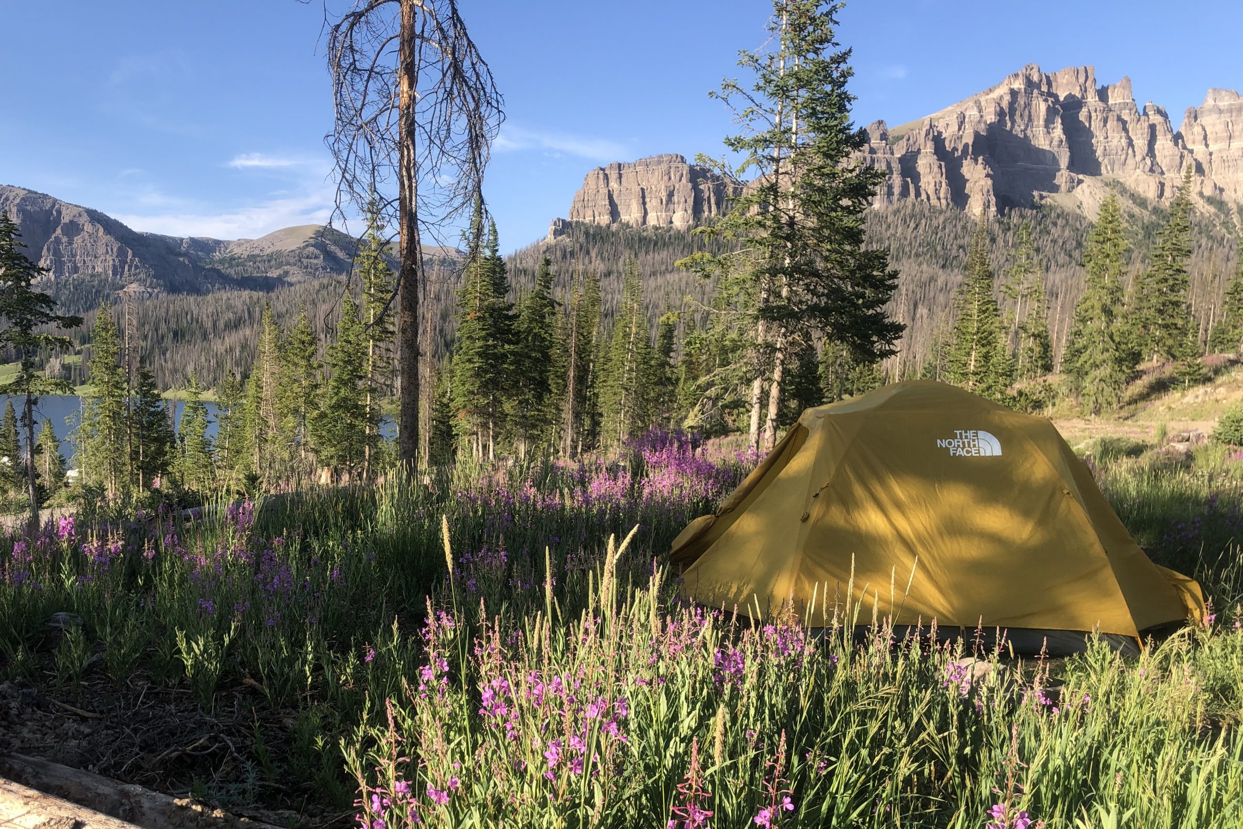 Brooks Lake Dispersed Camping