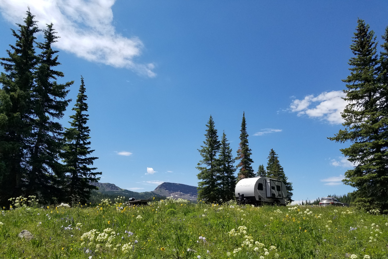 Forest Road 900 Dispersed Campsites