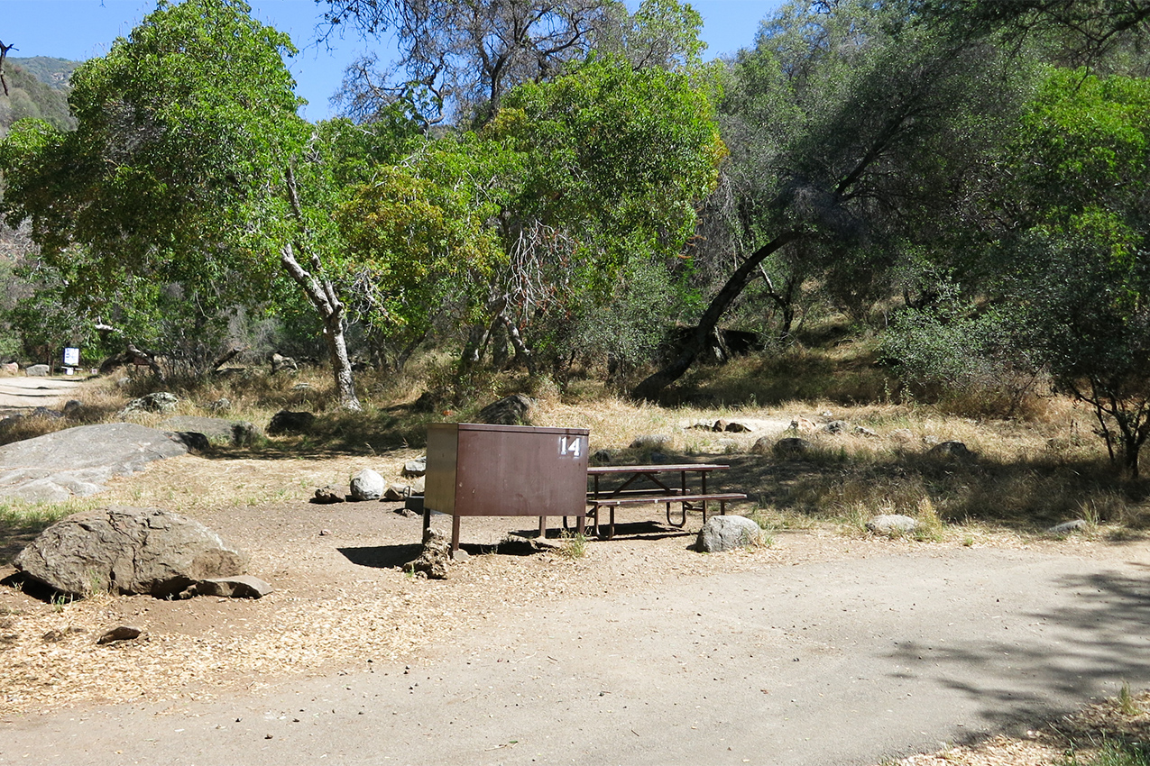 Bear box at campground.