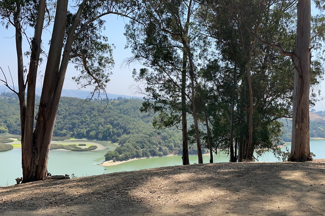 Anthony Chabot Regional Park Campground