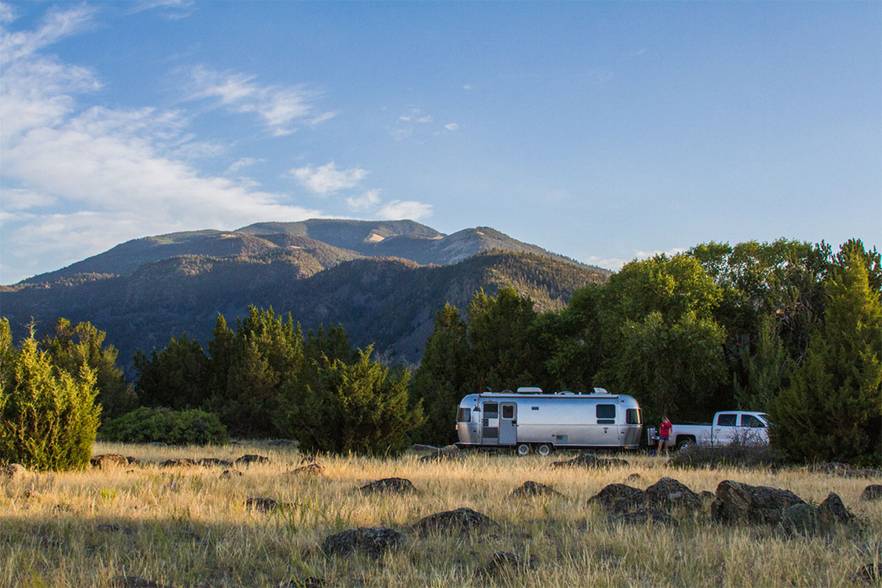 Airstream parked in the woods.