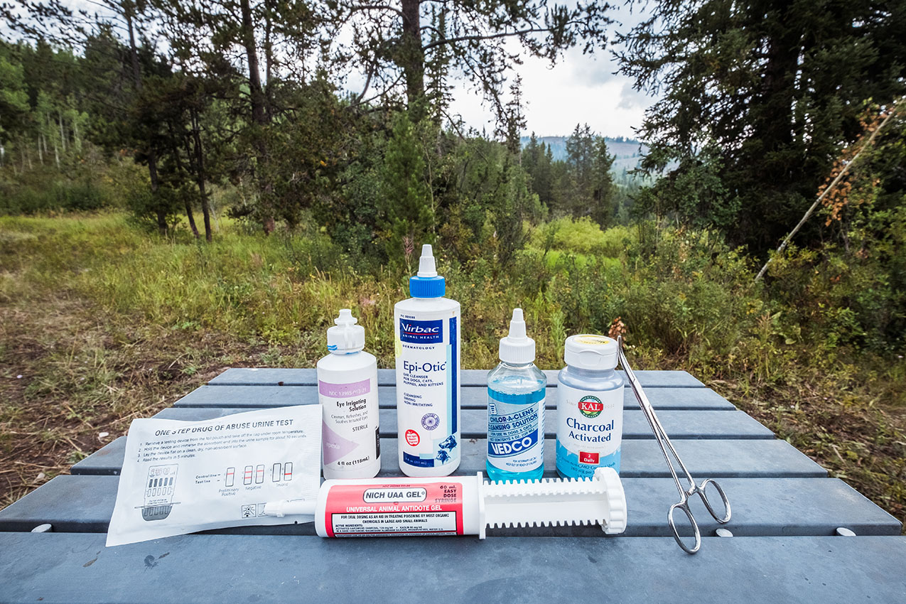 Emergency kit for your dog.