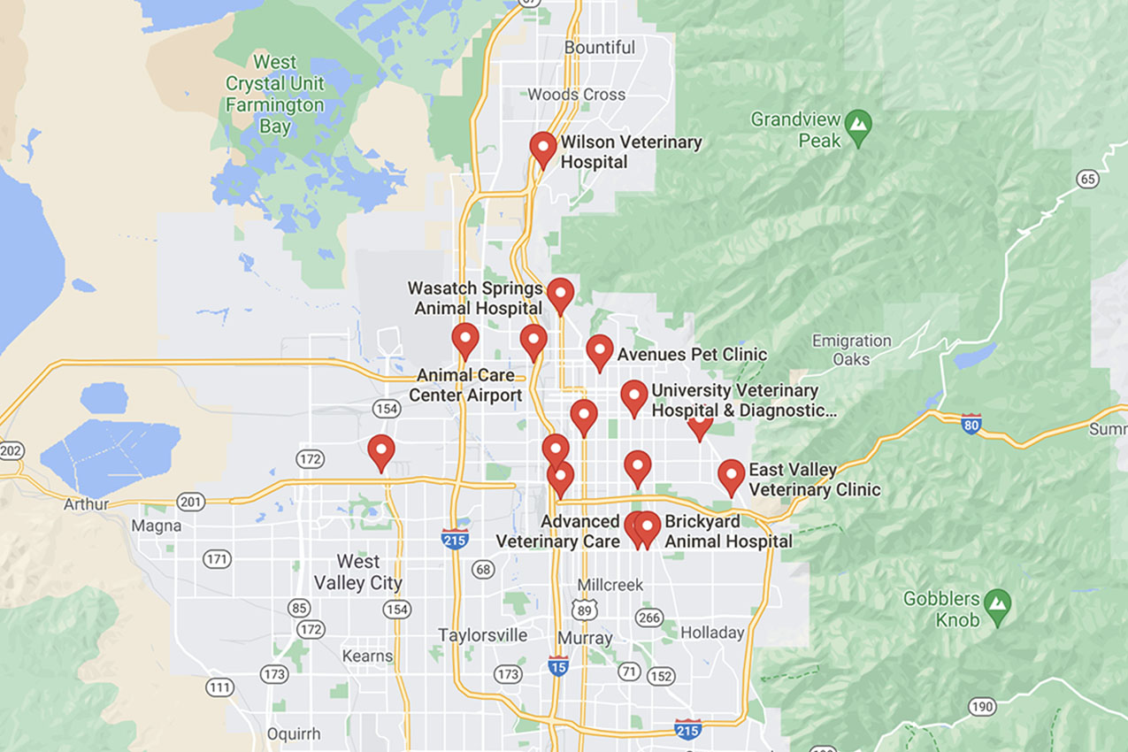 Google map of nearby vets.