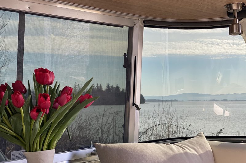 Looking out RV windows at a body of water.