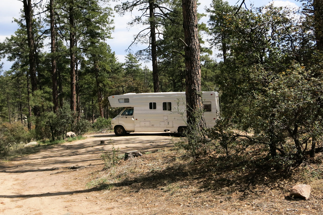 RV parked in the woods.