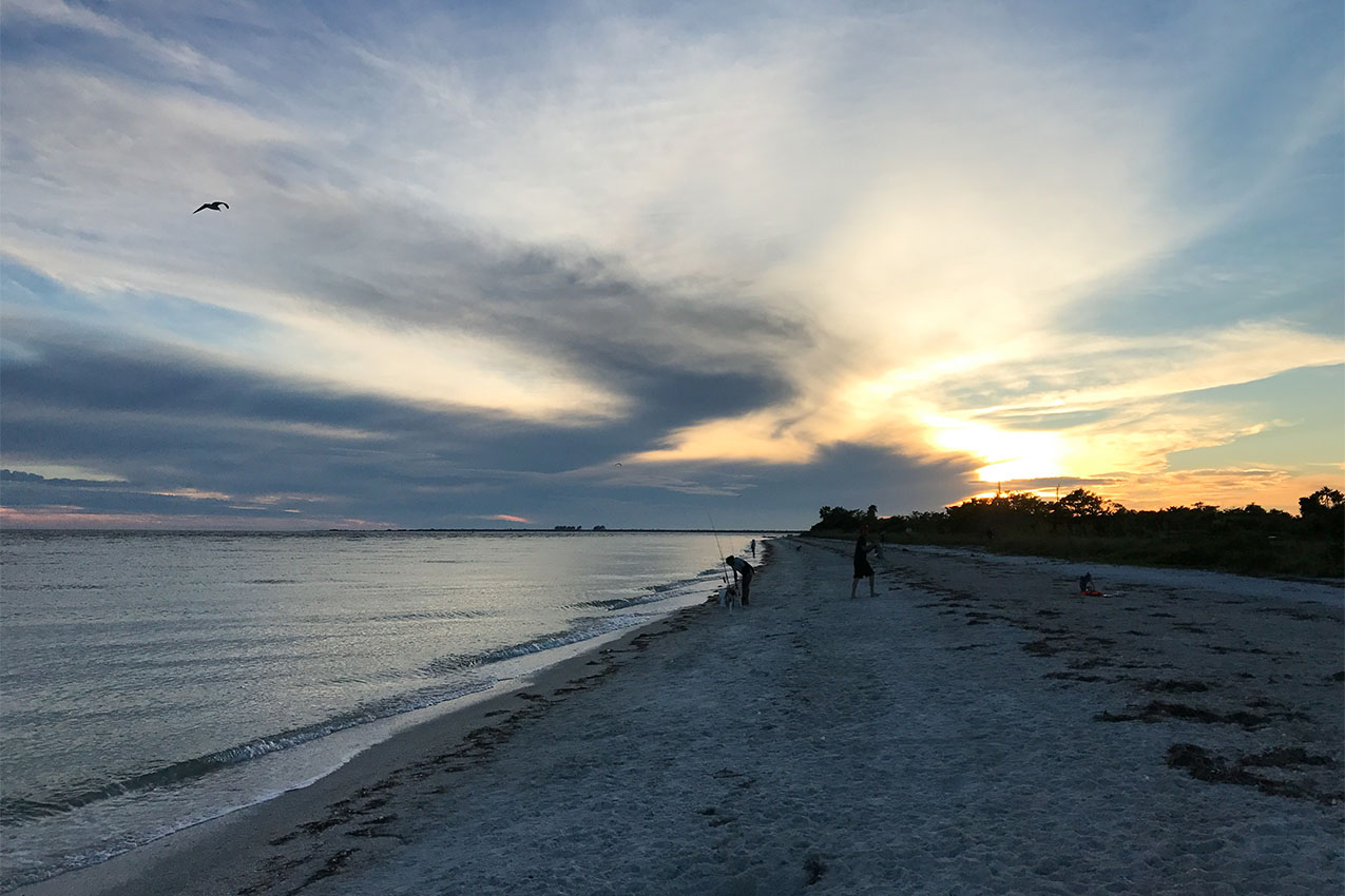 People on the beach at sunset.