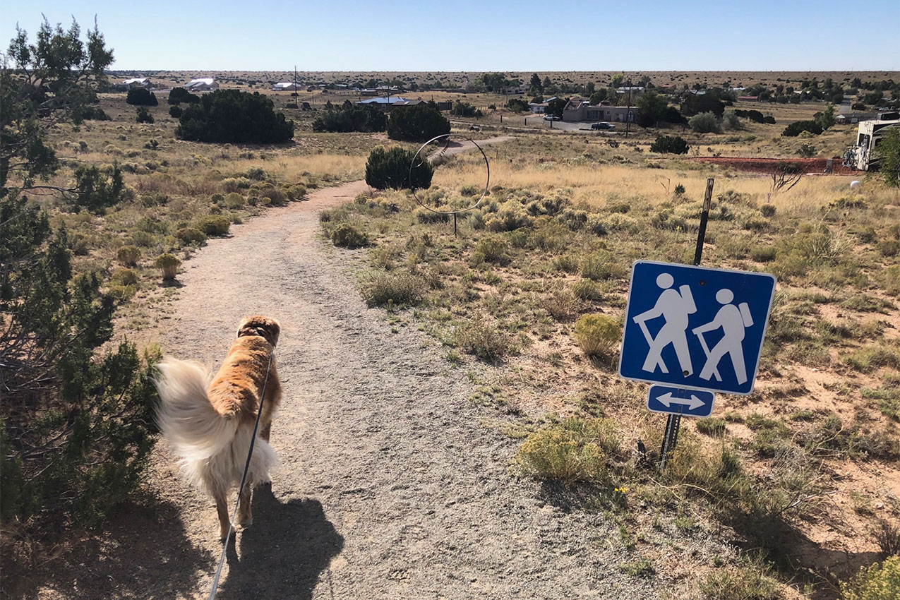 Dog on a leash walking on a trail in an RV Park.