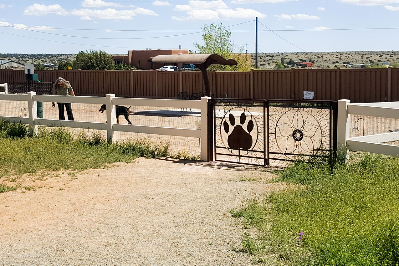 Woman in a dog park with her dog.