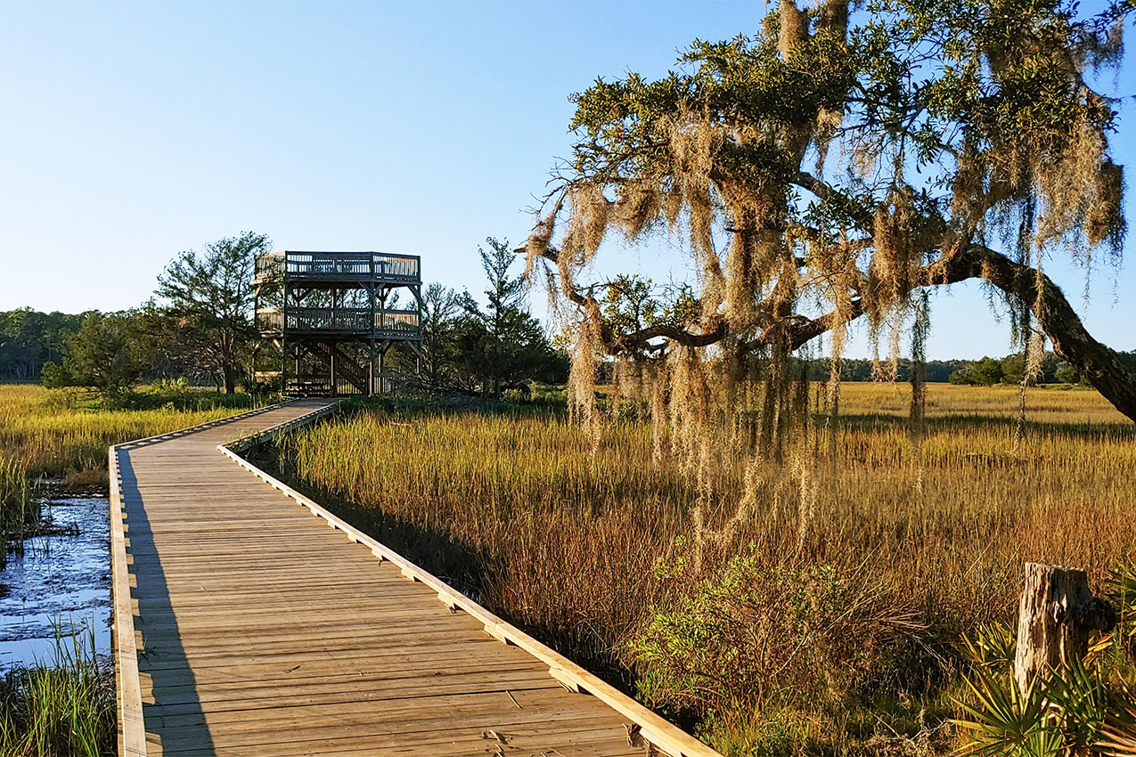 Boardwalk through a marsh with a two tiered platform at the end.