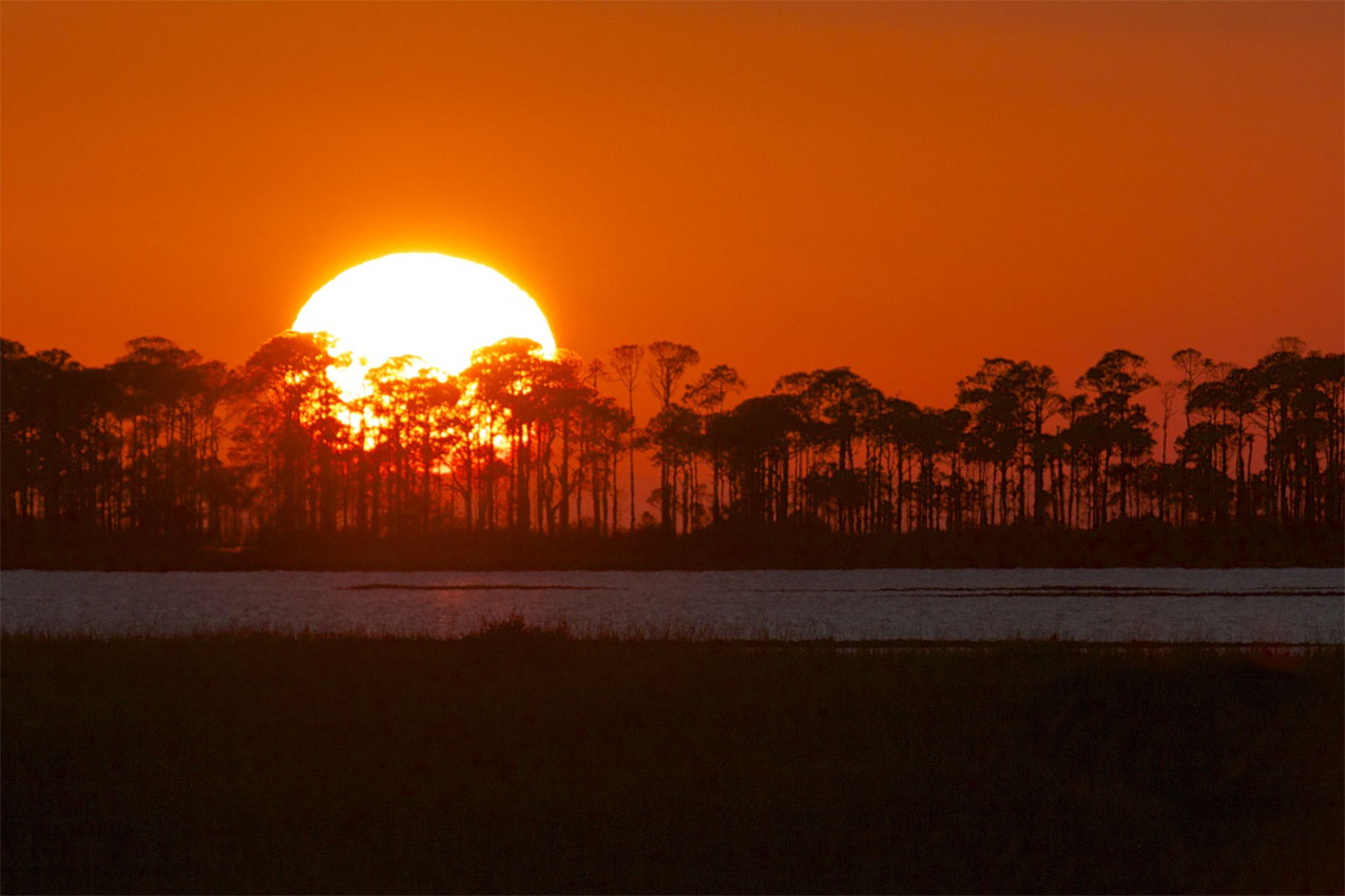Huge sun setting over trees and a river.