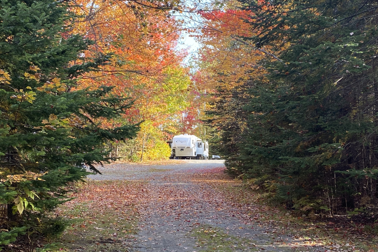 Balsam Woods Campground