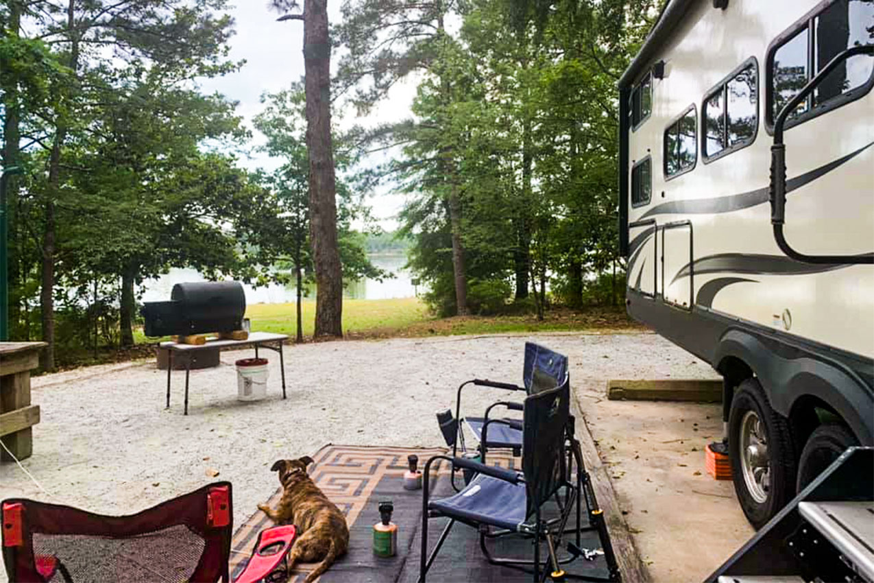 A dog hanging outside an RV by camp chairs and a grill.